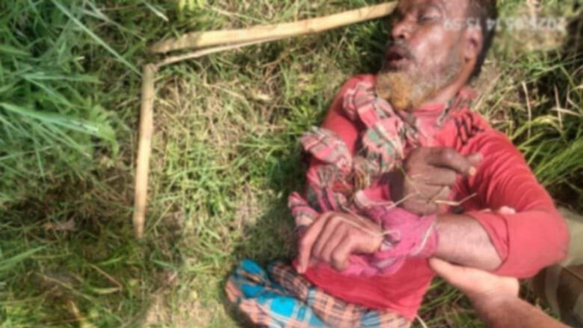 সীমান্তে ঘাস কাটার সময় বাংলাদেশিকে আটক করল বিএসএফ