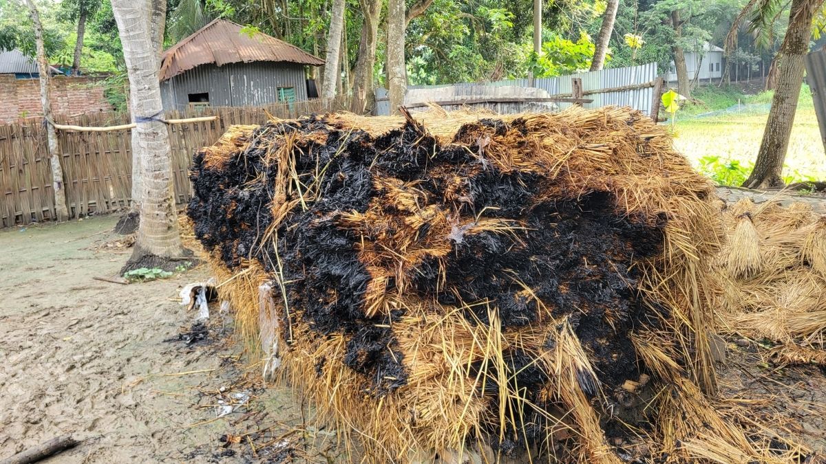 আলফাডাঙ্গায় ফের অগ্নিসংযোগ, আতঙ্কে এলাকাবাসী