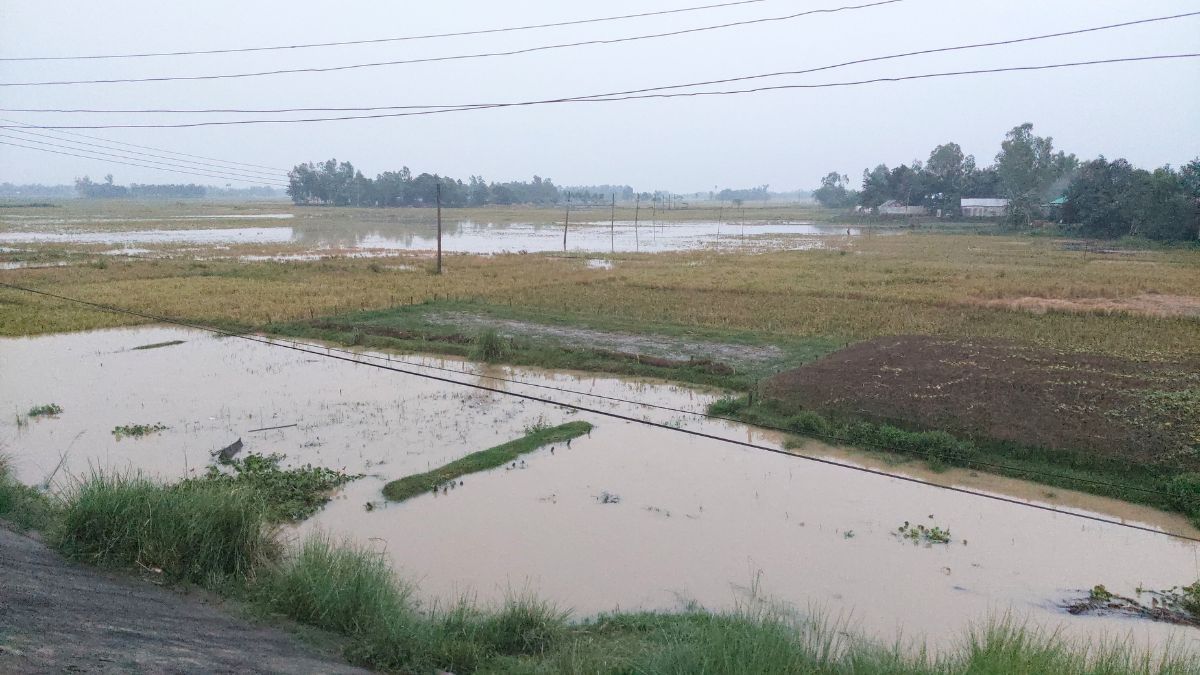 শেরপুরে নদীর পানি বাড়ছে, আকস্মিক বন্যার আশঙ্কা