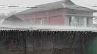 কলাপাড়ায় বৃষ্টিতে জনজীবনে স্বস্তি