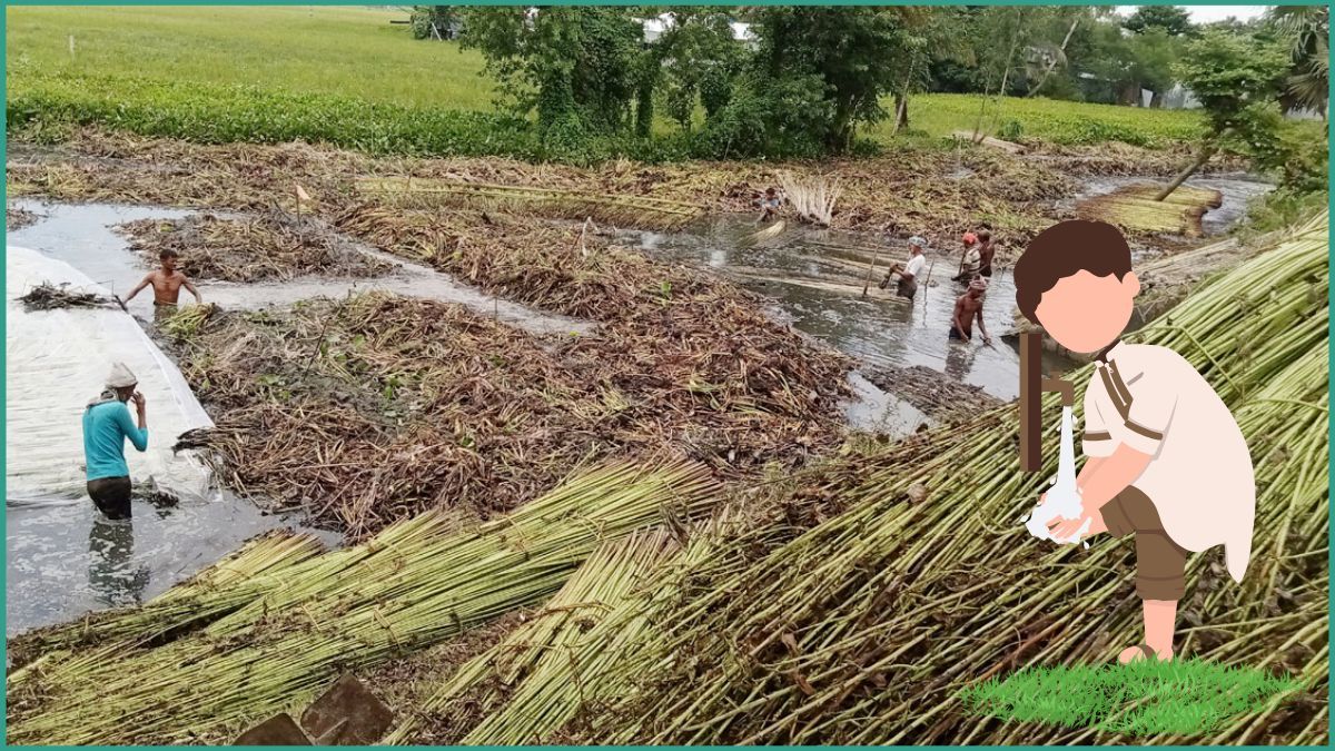 পাট জাগ দেওয়া পুকুরের পানিতে কি অজু-গোসল সহিহ হবে?