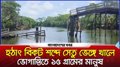 হঠাৎ বিকট শব্দে সেতু ভেঙ্গে খালে, ভোগান্তিতে ১৫ গ্রামের মানুষ
