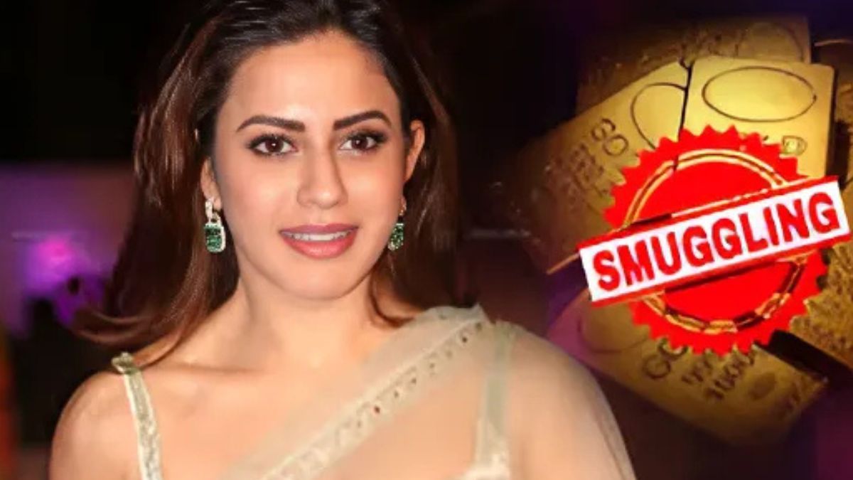 জামিন পেলেন সোনাপাচারের অভিযোগে গ্রেপ্তার সেই অভিনেত্রী, তবে...
