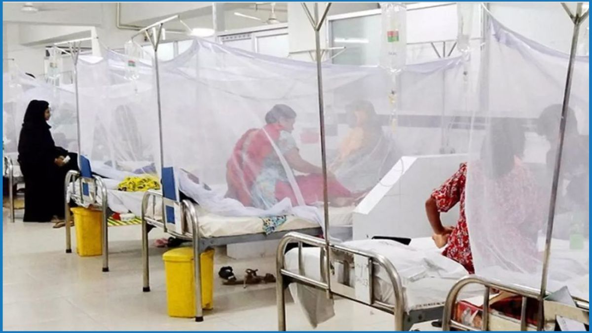 ২৪ ঘণ্টায় ডেঙ্গুতে আক্রান্ত ৭৮