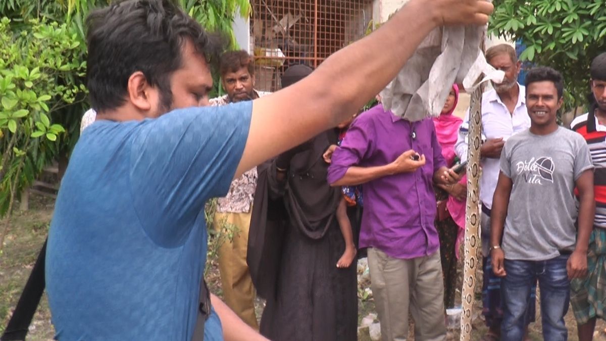 রাসেল ভাইপার-গোখরার কামড়ে ২ জনের মৃত্যু