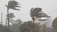 সন্ধ্যার মধ্যে ৯ অঞ্চলে ৮০ কিমি বেগে ঝড়ের আভাস