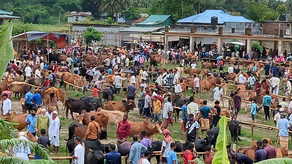 খাগড়াছড়িতে জমজমাট কোরবানির পশুর হাট