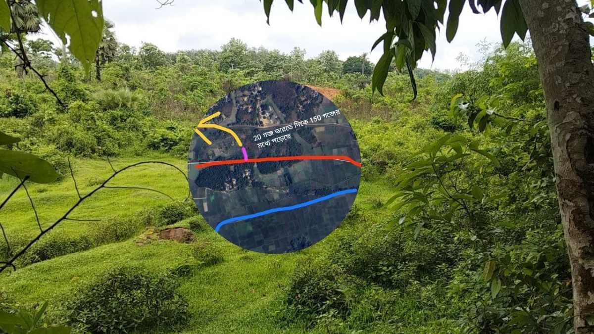 নোম্যান্সল্যান্ডে ভারতীয়দের খাল খননের তৎপরতা বন্ধ করল বিজিবি