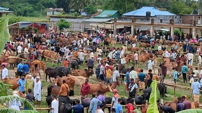 খাগড়াছড়িতে জমজমাট কোরবানির পশুর হাট