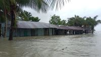 লঘুচাপের প্রভাবে চরফ্যাসনের নিম্নাঞ্চল প্লাবিত, বিধ্বস্ত ঘরবাড়ি