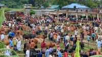খাগড়াছড়িতে জমজমাট কোরবানির পশুর হাট