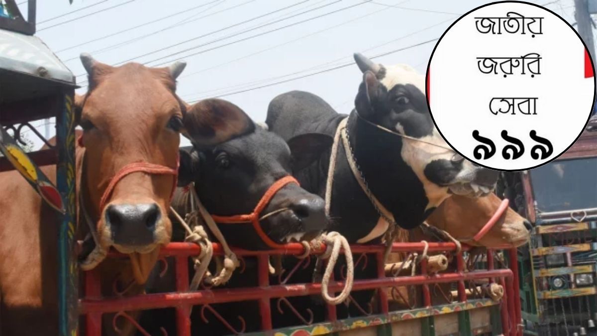 পশুবাহী ট্রাকে সন্দেহজনক সিগন্যাল পেলেই ৯৯৯ ফোনের নির্দেশ