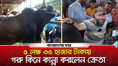 ৫ লক্ষ ৩৫ হাজার টাকায় গরু কিনে কান্না করলেন ক্রেতা