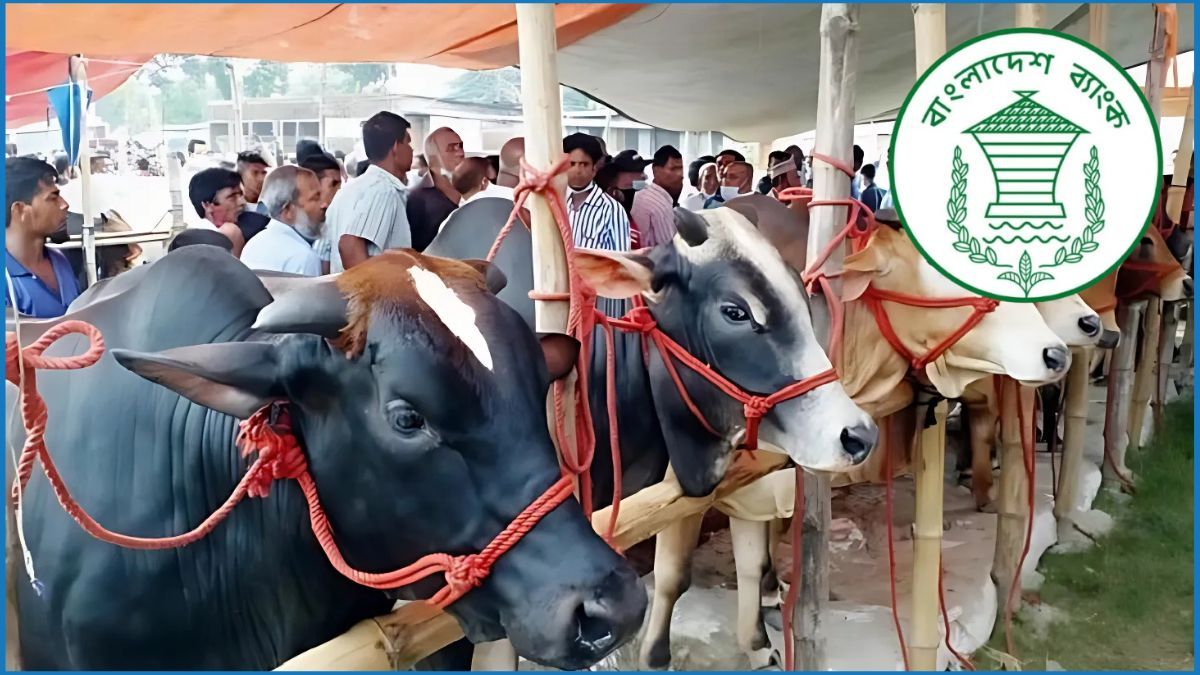 কোরবানির পশুর হাটে থাকবে সান্ধ্যকালীন ব্যাংকিং সুবিধা