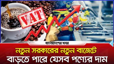 নতুন সরকারের নতুন বাজেটে বাড়তে পারে যেসব পণ্যের দাম