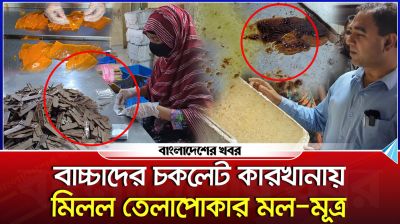 বাচ্চাদের চকলেট কারখানায় মিলল তেলাপোকার মল-মূত্র