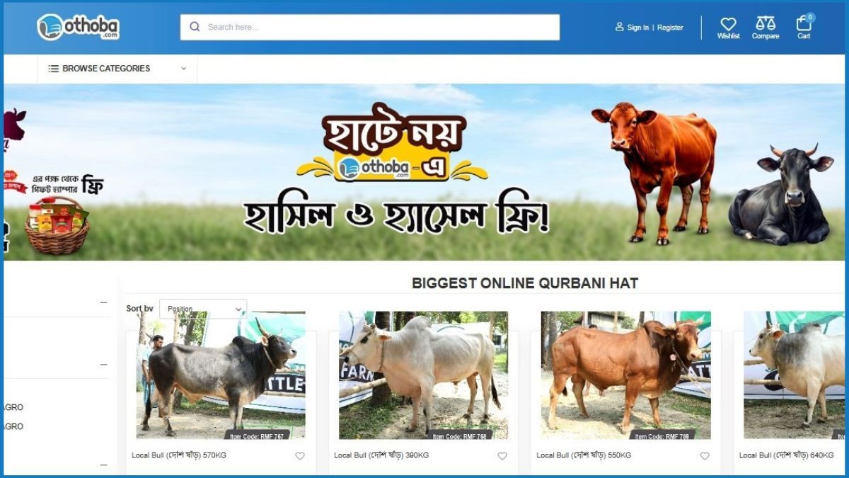 জনপ্রিয় হচ্ছে অনলাইন কোরবানির পশুর হাট