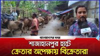 শাজাহানপুর হাটে ক্রেতার অপেক্ষায় বিক্রেতারা