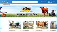 জনপ্রিয় হচ্ছে অনলাইন কোরবানির পশুর হাট