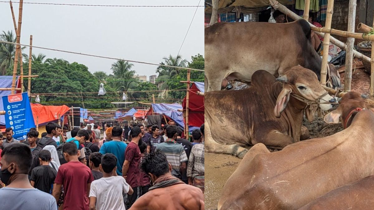 শাহজাহানপুর হাটে ভিড় বাড়লেও বেচাকেনায় ধীর গতি