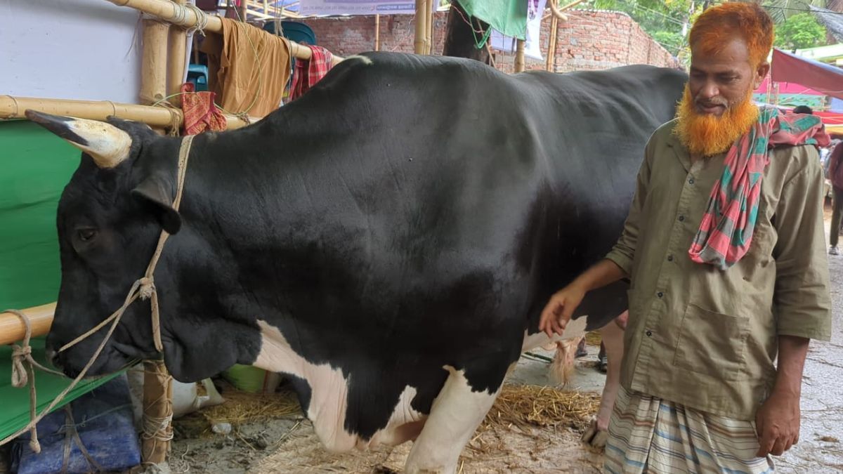 কত টাকায় বিক্রি করবেন কালো মানিক? যা বললেন বিক্রেতা