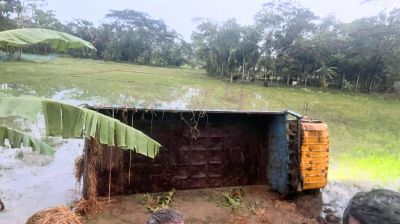 গরুবাহী ট্রাক উল্টে যুবকের মৃত্যু, কোরবানির গরুর প্রাণহানি