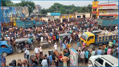 বগুড়ায় মহাসড়কের পাশে পশুর হাট, জনদুর্ভোগ