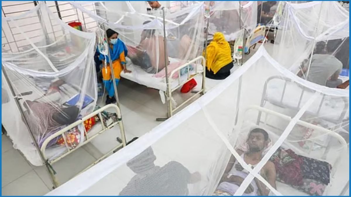 ডেঙ্গুতে ২৪ ঘণ্টায় আক্রান্ত ৯৪