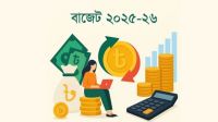 বাজেটে যেসব পণ্যের দাম বাড়তে পারে