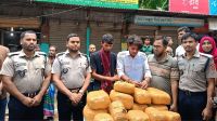 নান্দাইলে ২২ কেজি গাঁজাসহ গ্রেপ্তার ২