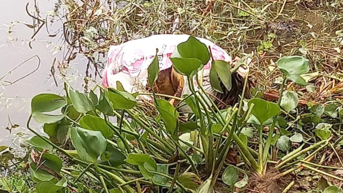 কোটালীপাড়ায় ধারের টাকা-জমির দ্বন্দ্বে আপন চাচাকে খুন