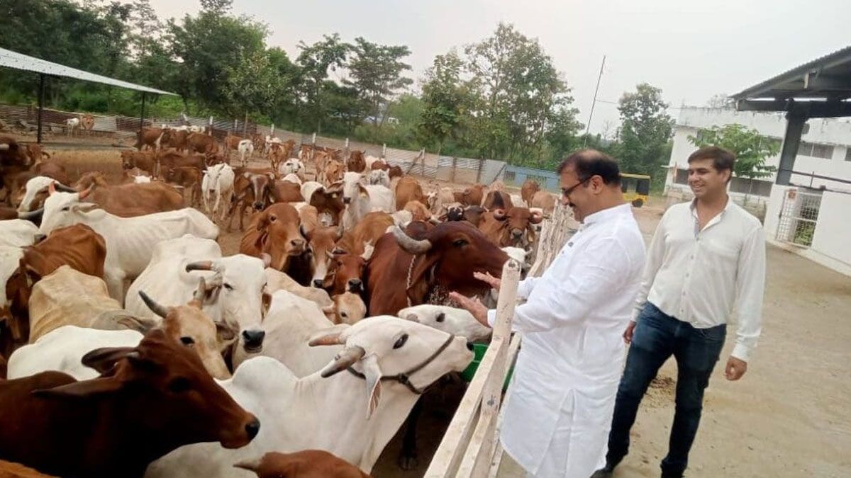 ঈদুল আজহা : ভারতের মহারাষ্ট্রে সকল পশুর হাট বন্ধের নির্দেশ