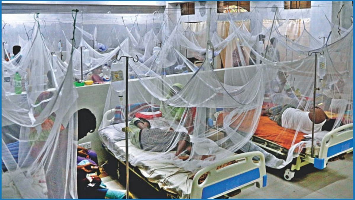 ডেঙ্গুতে ২৪ ঘণ্টায় আক্রান্ত ৮৩