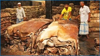চামড়া খাতে ঋণ বিতরণে ব্যাংকের অনীহা
