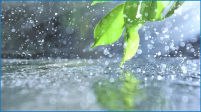 ঈদের দিন ৩ বিভাগে বজ্রসহ বৃষ্টির আভাস