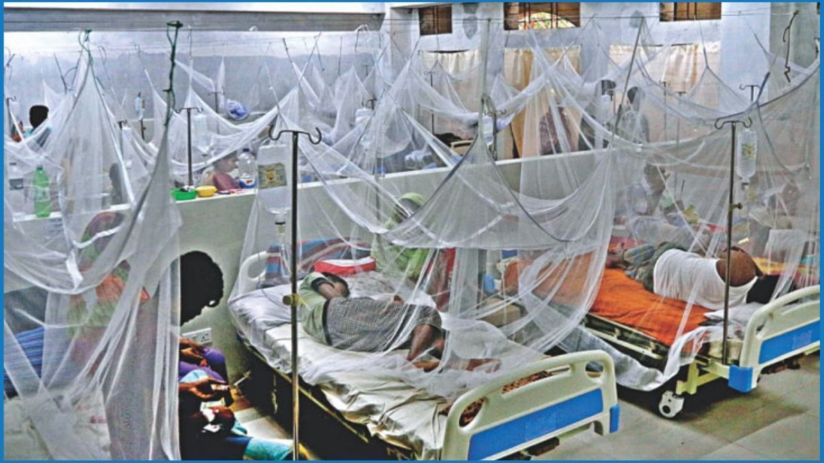 ২৪ ঘণ্টায় ডেঙ্গুতে আক্রান্ত ৫৯ জন