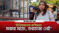 ‘চিড়িয়াখানার প্রাণীগুলো মরার মতো, তরতাজা নেই’