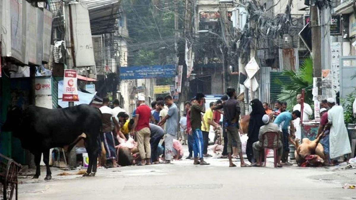 এ বছর ঈদুল আজহায় ৯১ লাখের বেশি পশু কোরবানি হয়েছে