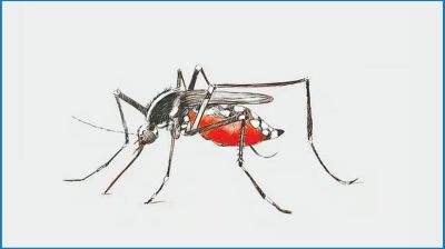 ডেঙ্গুতে একদিনে ৫ জনের মৃত্যু