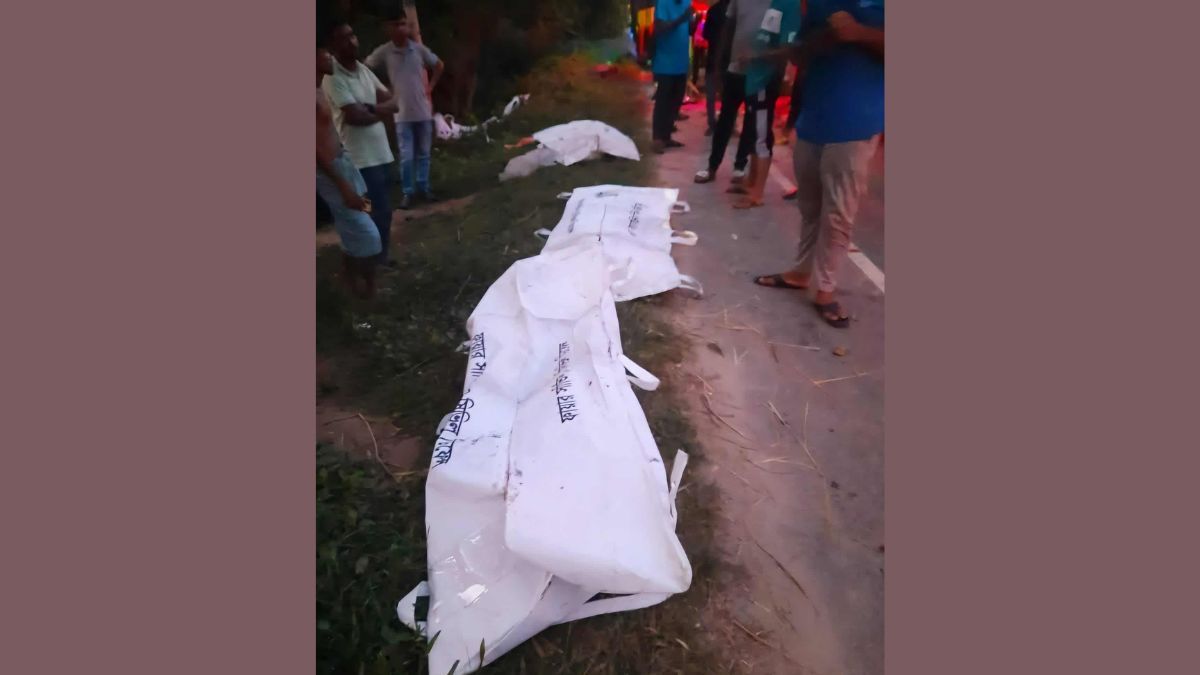 সড়ক দুর্ঘটনায় ডিআইইউ শিক্ষার্থী নিহত