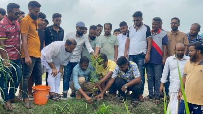 ধামরাইয়ে স্বেচ্ছাসেবক দলের মাসব্যাপী বৃক্ষরোপণ কর্মসূচির উদ্বোধন