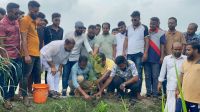 ধামরাইয়ে স্বেচ্ছাসেবক দলের মাসব্যাপী বৃক্ষরোপণ কর্মসূচির উদ্বোধন