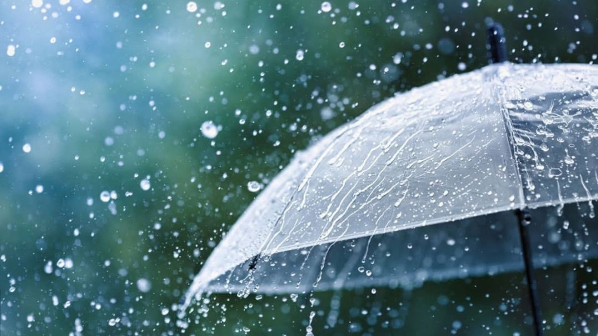আষাঢ়ের শুরুতে মেহেরপুরে স্বস্তির বৃষ্টি