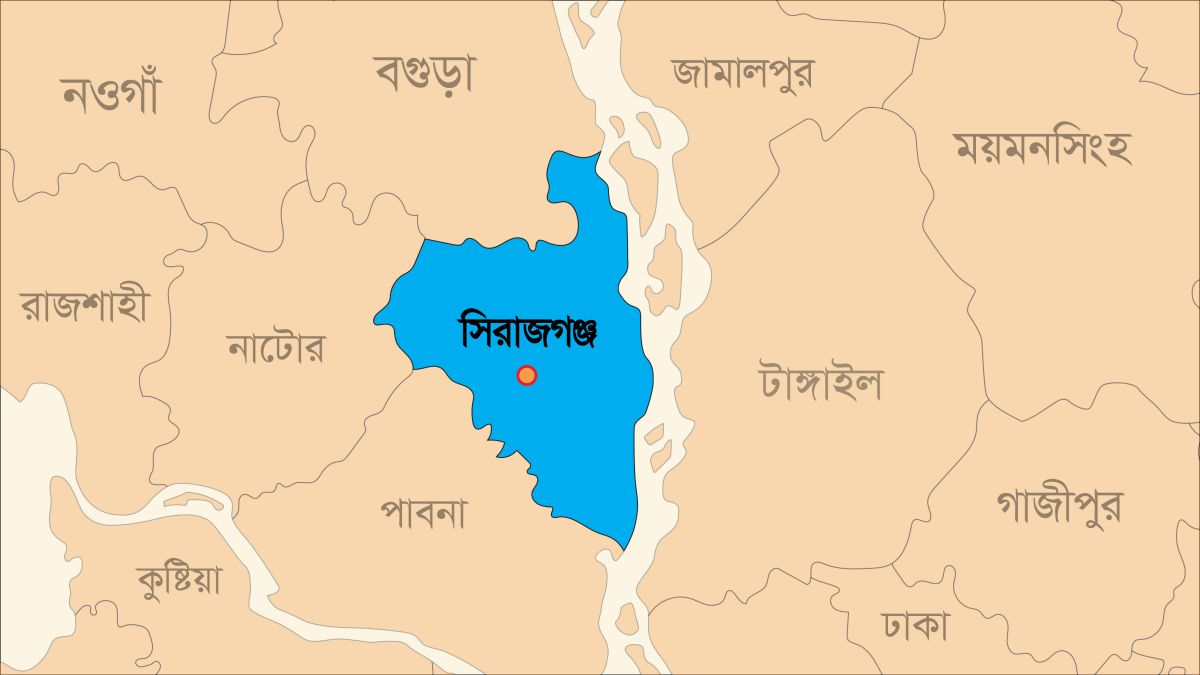 তাড়াশে সড়কে গাছ ফেলে ডাকাতির চেষ্টা