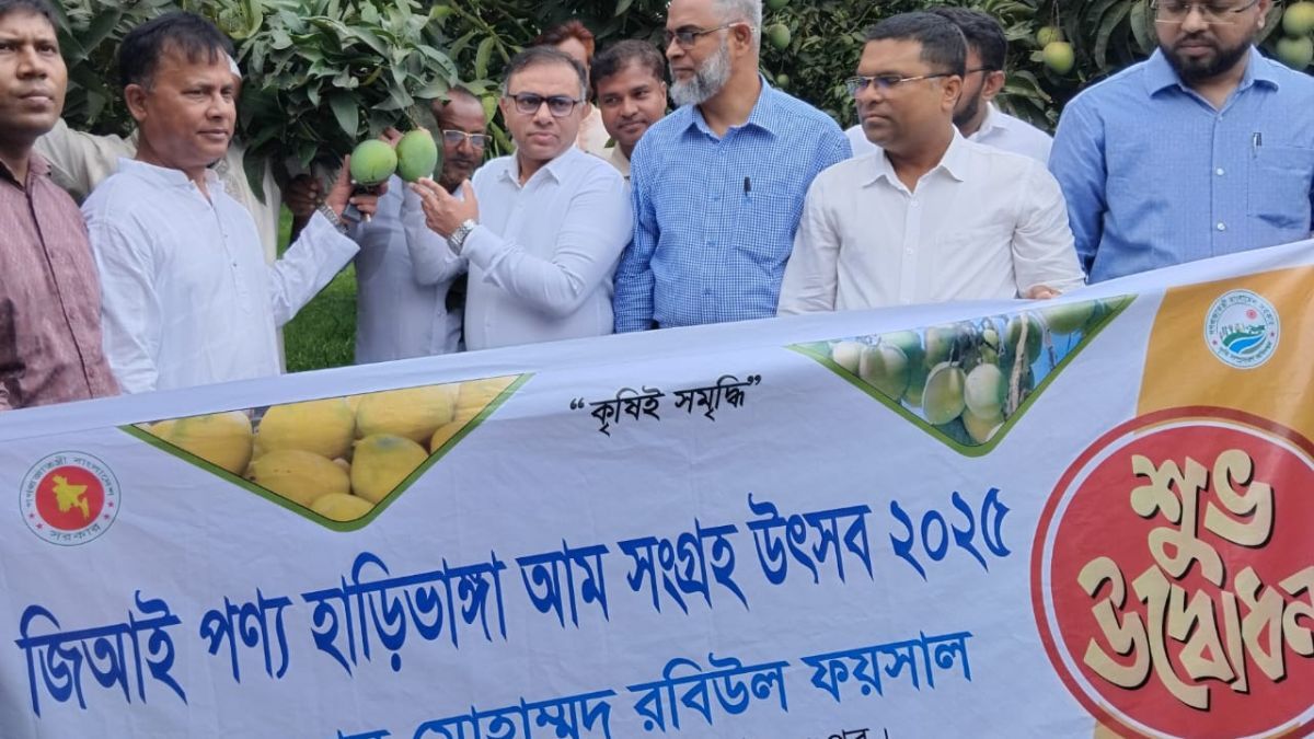 মিঠাপুকুরে হাড়িভাঙ্গা আম উৎসব, ১৫০ কোটি টাকা বাণিজ্যের সম্ভাবনা
