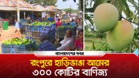 রংপুরে হাড়িভাঙা আমের ৩০০ কোটি টাকার জমজমাট বাণিজ্য