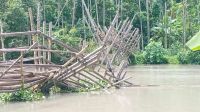 সাঁকো ভেঙে যোগাযোগ বিচ্ছিন্ন, দুর্ভোগে কাউখালীর মানুষ