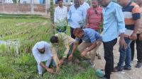 ধামরাইয়ে স্বেচ্ছাসেবক দল নেতার ৩ হাজার গাছ রোপণ