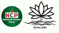 শাপলার প্রতি এনসিপির আগ্রহ কেন?