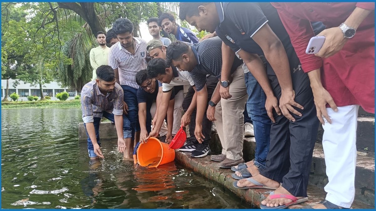 ঢাবির পুকুরে মাছের পোনা অবমুক্তকরণ করল ছাত্রদল